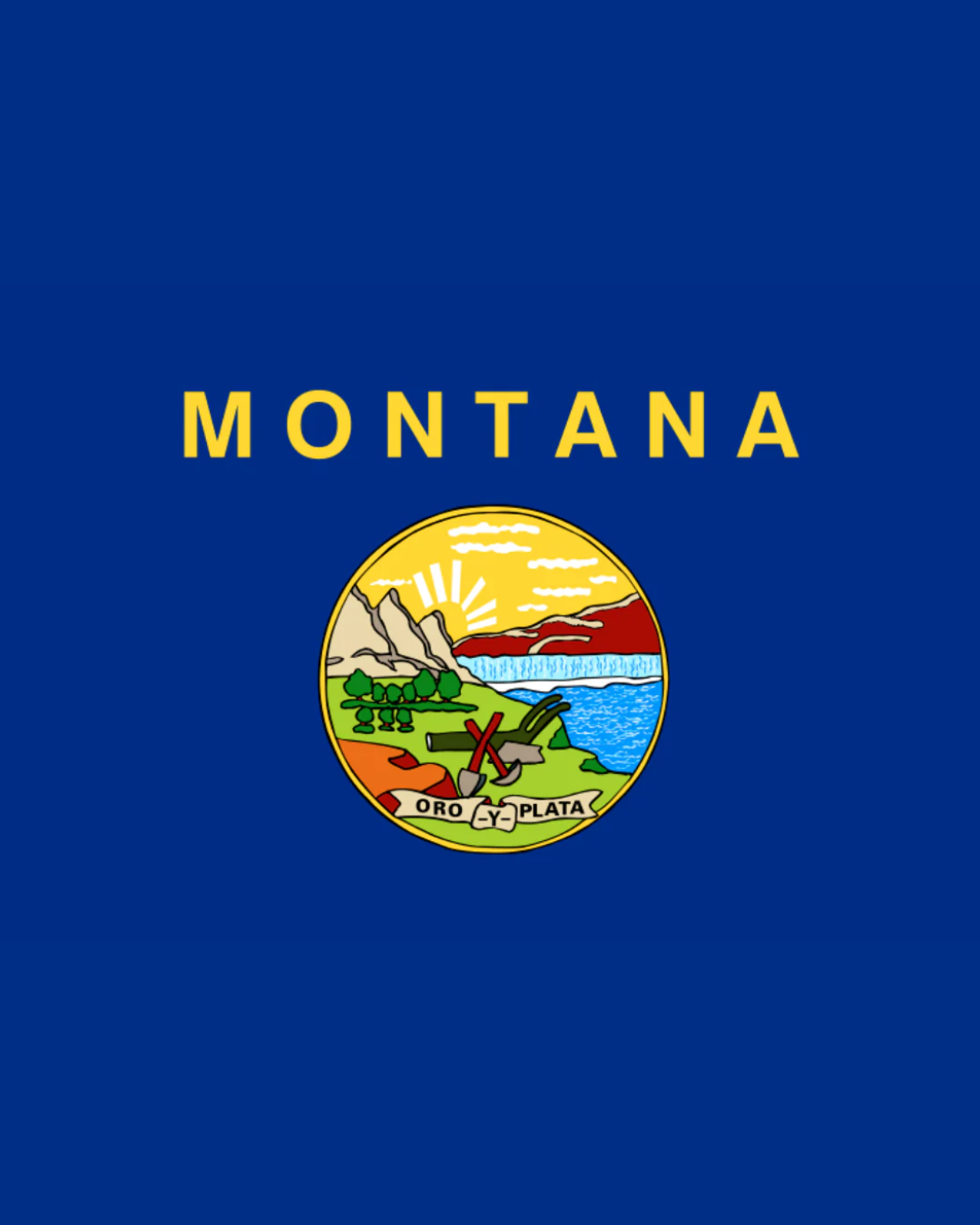 State of Montana Flag